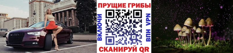 Галлюциногенные грибы Cubensis  гидра ссылка  Мещовск 